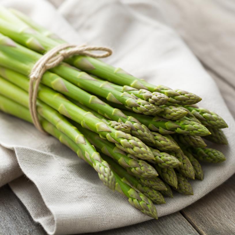 Asperge — variété Asperge verte