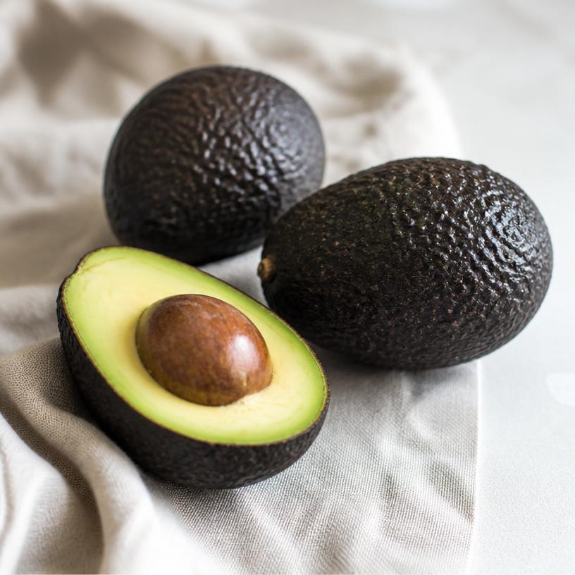 Avocat — variété Hass