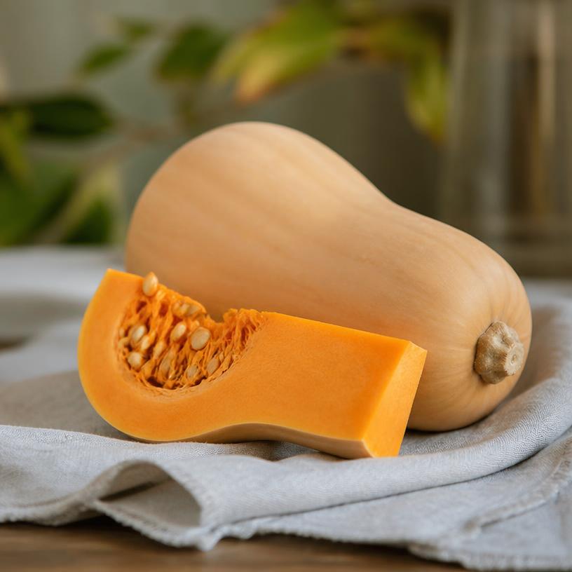 Courge — variété Butternut
