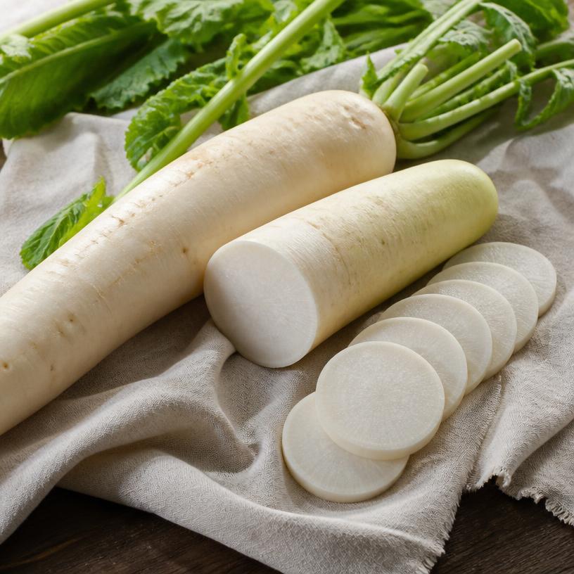 Radis — variété Daikon (radis blanc)