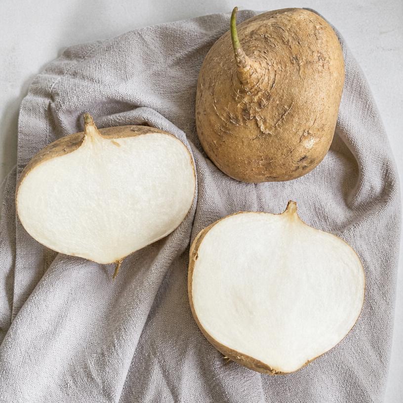 Jicama — variété Pois patate
