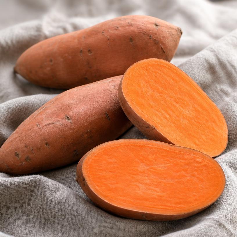 Patate douce — variété Chair orange (Beauregard)