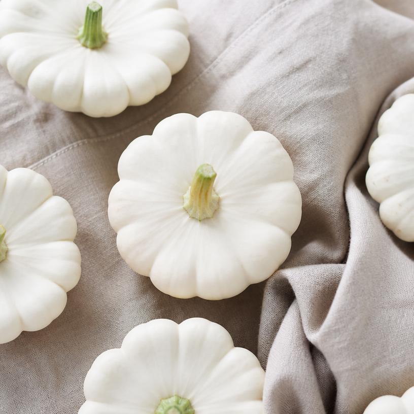 Courge — variété Pâtisson blanc