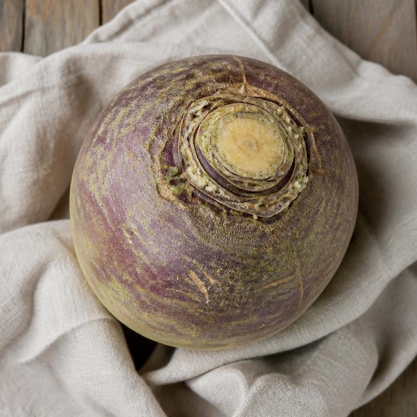 Rutabaga — variété Rutabaga