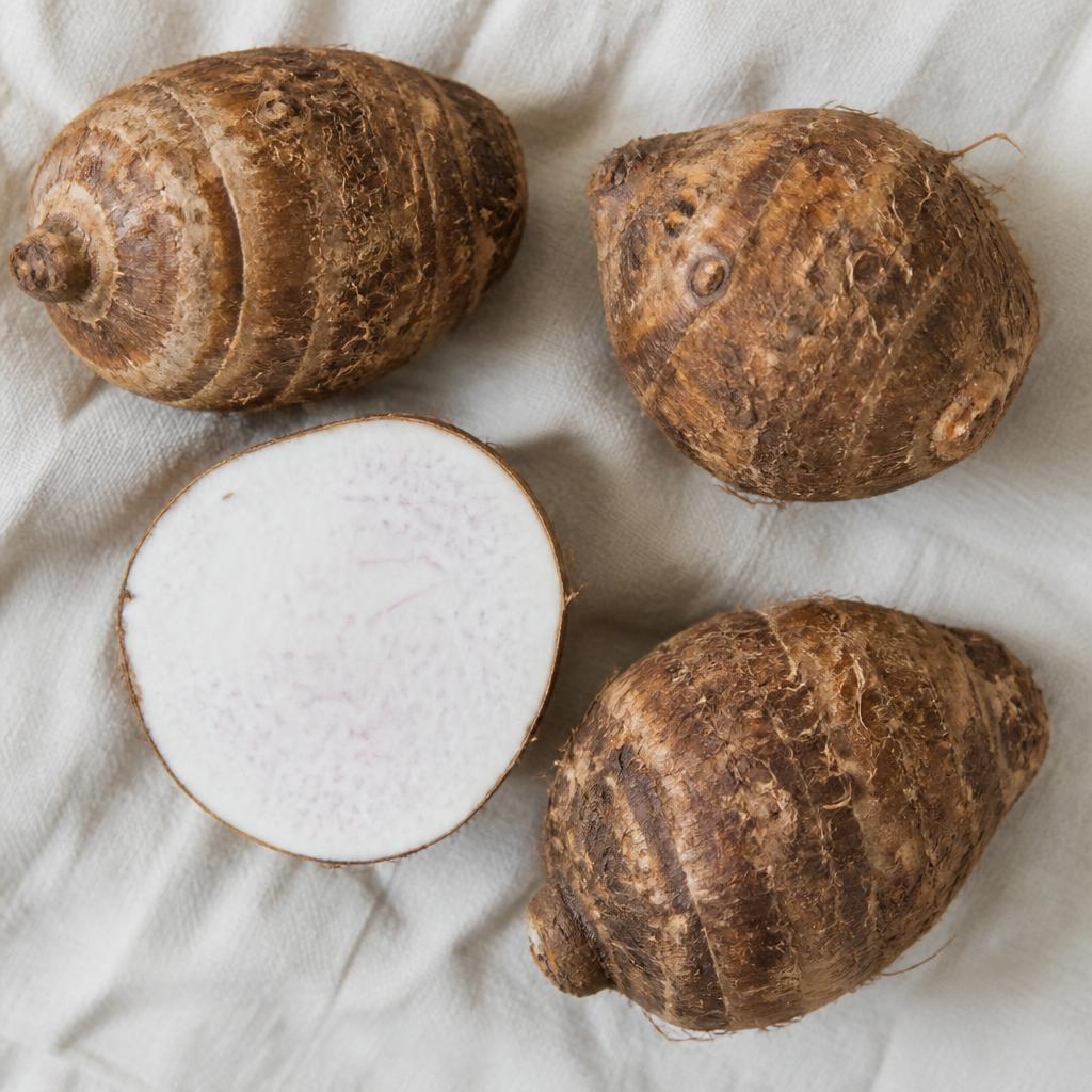 Taro — variété Taro (colocase)
