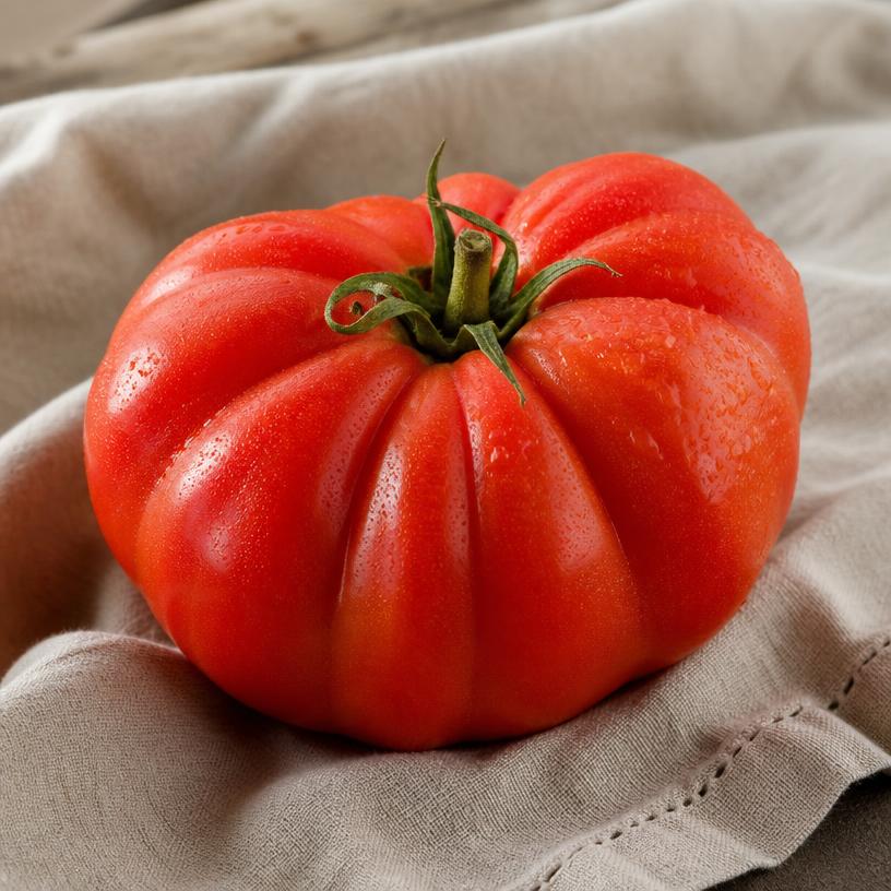 Tomate — variété Cœur de bœuf